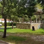 Paloma