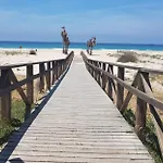 Paloma 2*