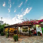 Paloma 营地