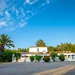 Paloma 2*