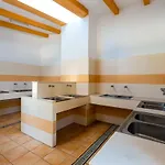 Paloma 2*