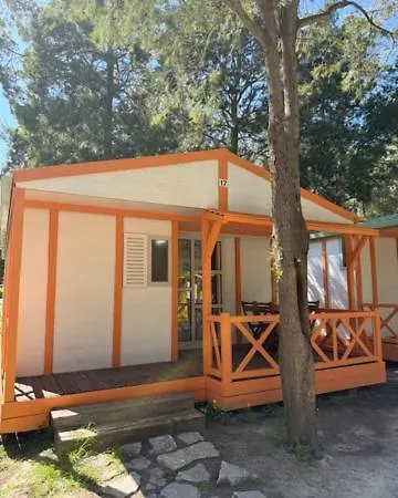 Paloma 2* タリファ