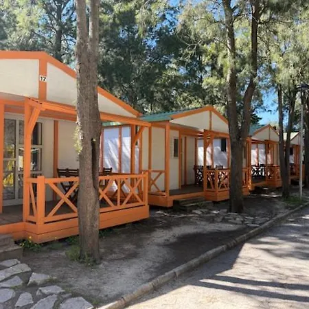 Paloma 2*