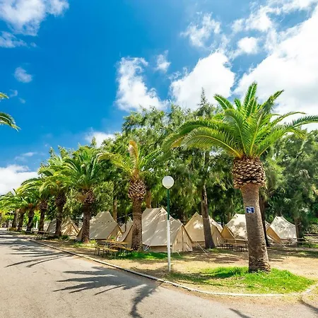 Camping Paloma