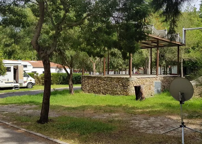 Paloma