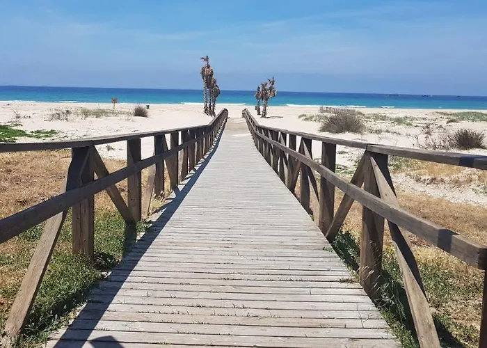 Paloma 2*
