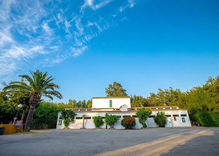 Paloma 2*