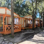 Paloma 2*