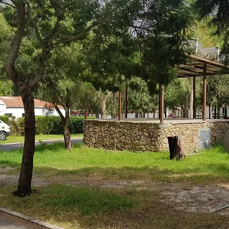 Paloma