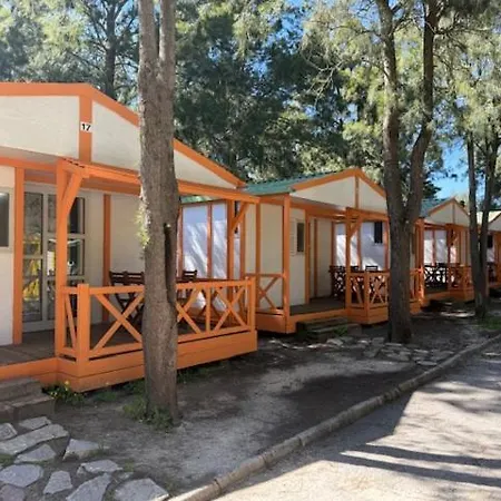 Paloma Camping