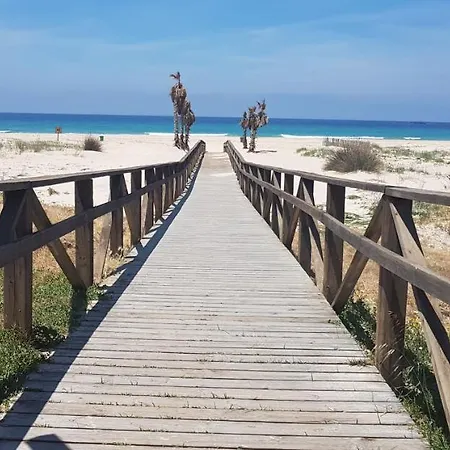 Paloma 2*